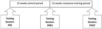 The Effects of Resistance Exercise Training on Strength and Functional Tasks in Adults With Limb-Girdle, Becker, and Facioscapulohumeral Dystrophies